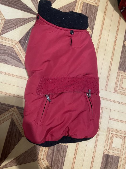 Помпона на собачку