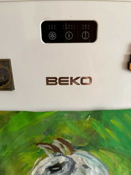 Продам морозилку Beko FS225300