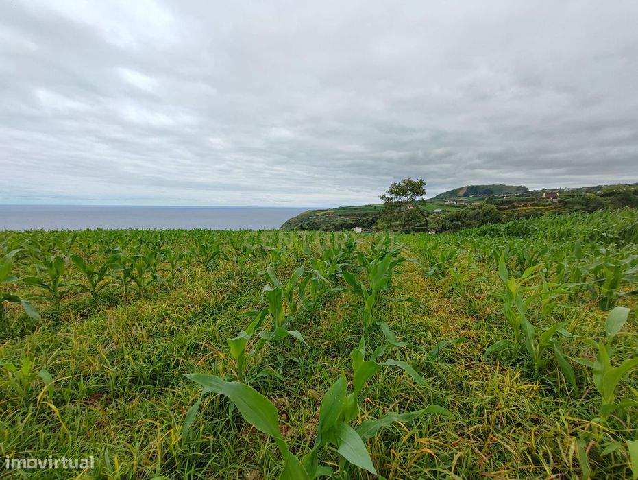Terreno, Porto Formoso