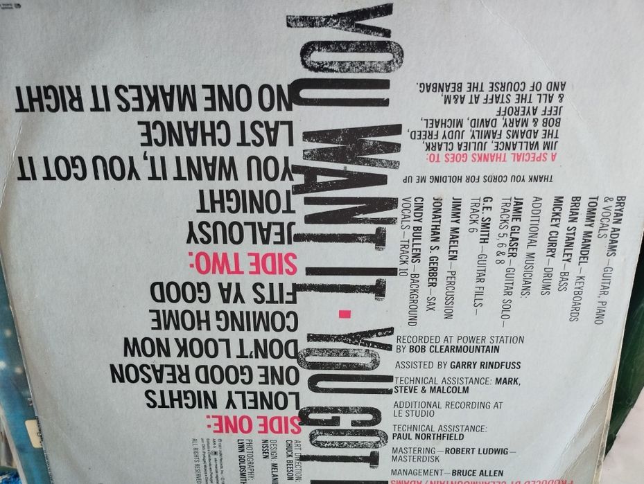 Vinil Brian Adams LP You Want it-you got it