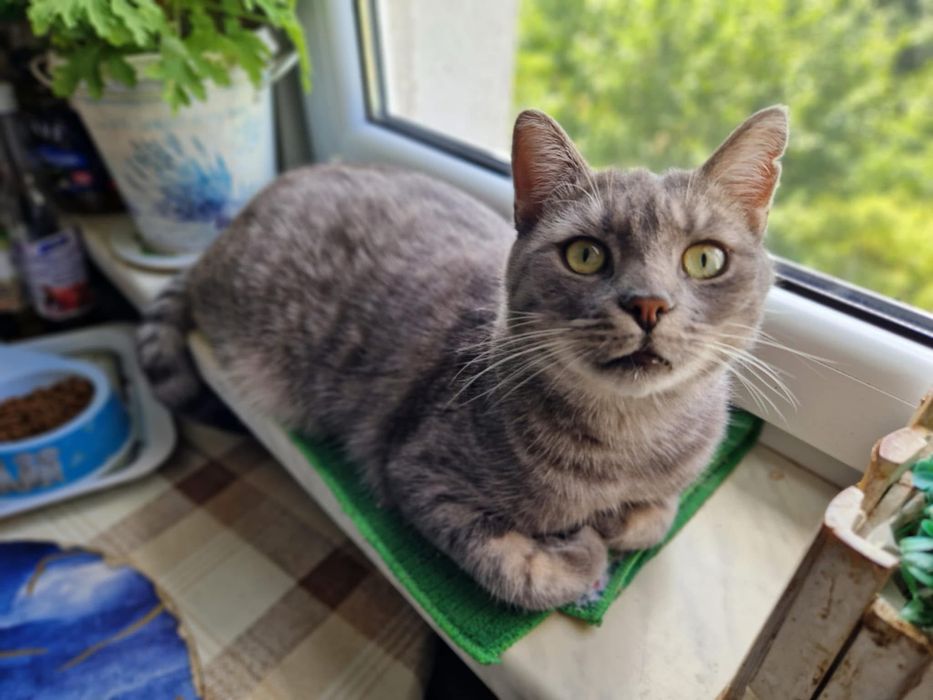 KRYSTIAN I GREY szukają domku