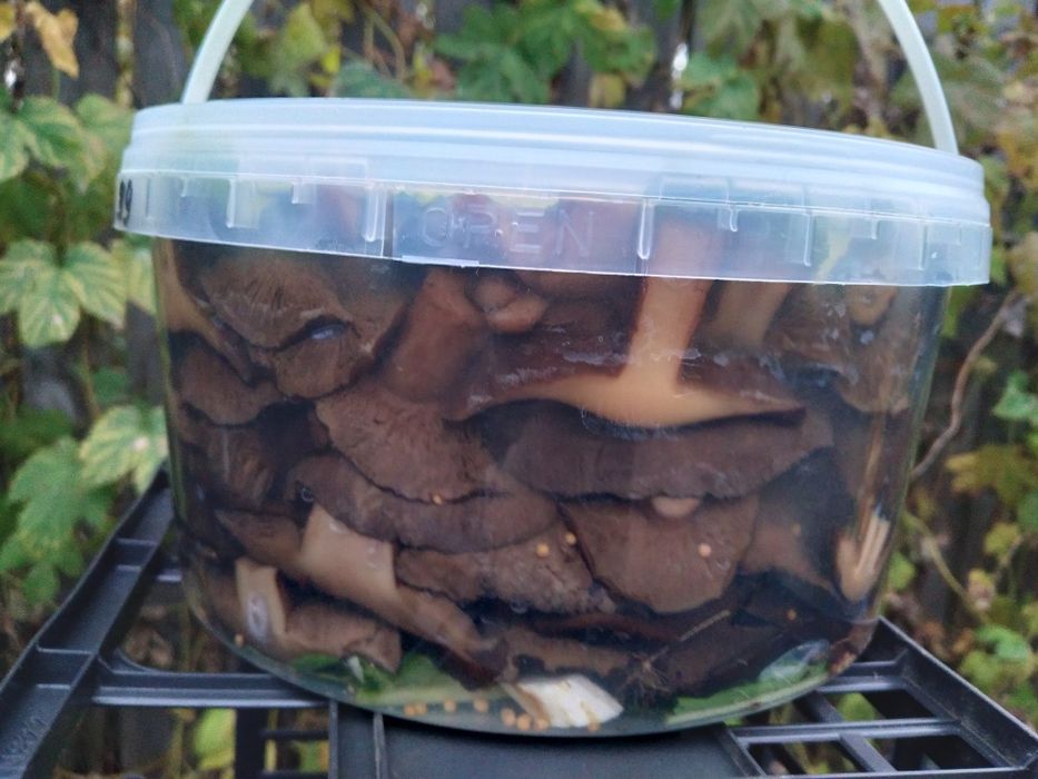 Гриби лісові  квашені,варення чорниці