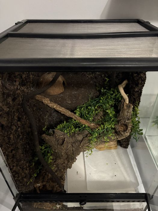 Terrarium 45x45x60
