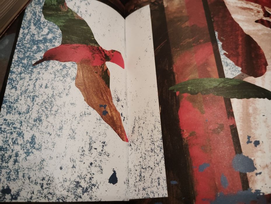 Livro Viajante do Tempo Novo