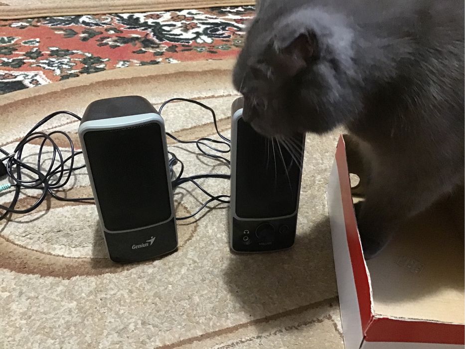 Колнки до пк , гарний стан.