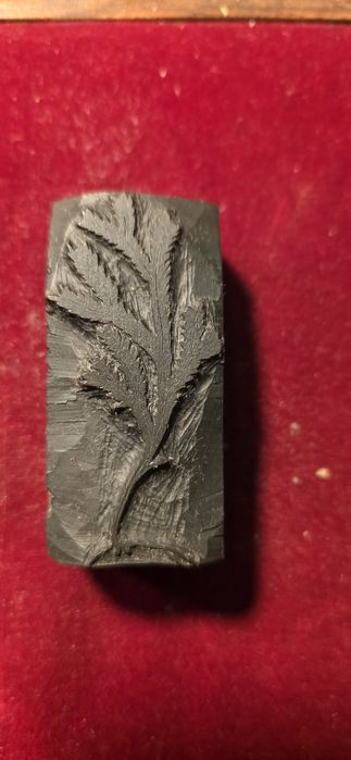 Cunhos de tipografia