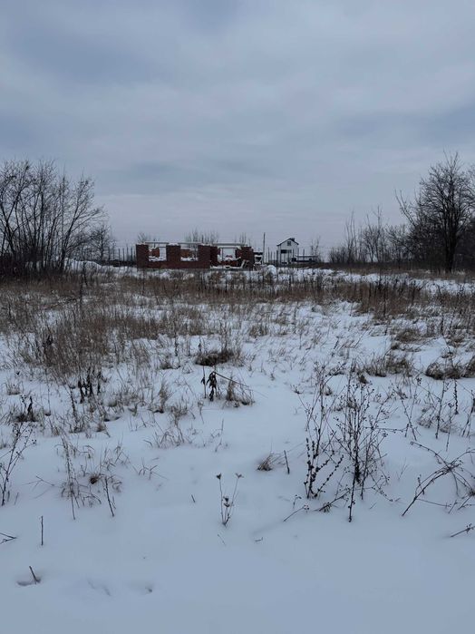 Ділянка від власника Шкуринці масив Поляна