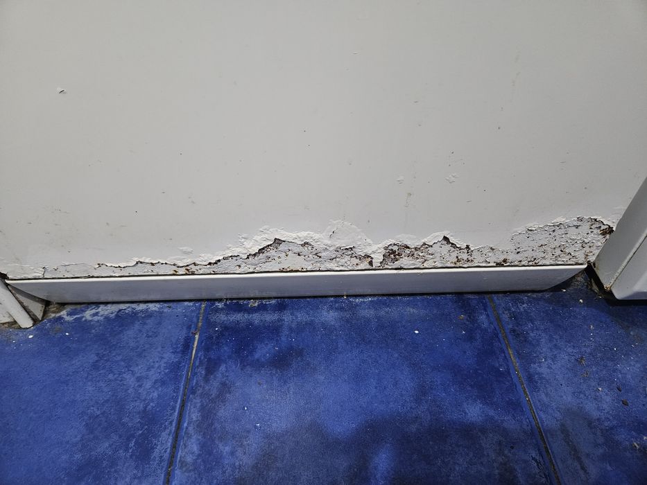 Máquina de Lavar Loiça