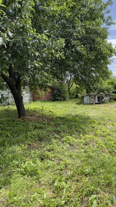 продається старий будинок з гарною земельною ділянкою