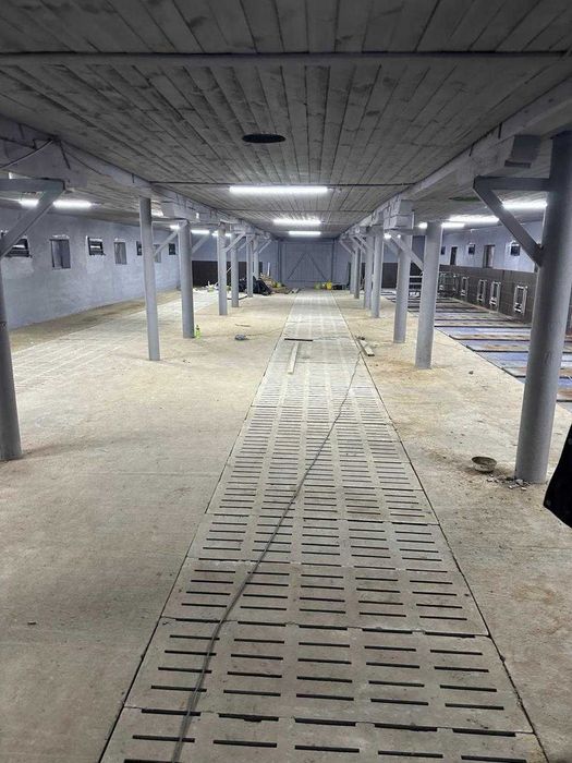 Ферма, господарські будівлі та споруди