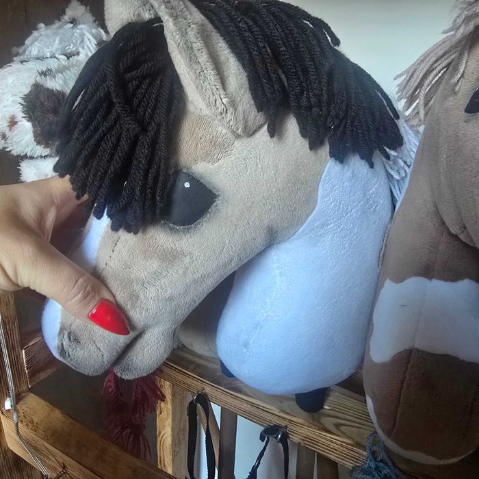 Hobby horse plus stajnia