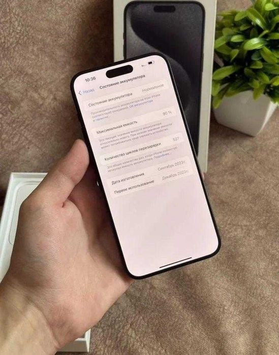 iPhone 15 Pro Max, 256 ГБ