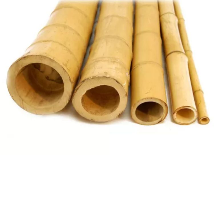 Бамбук для декора