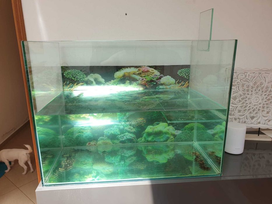 aquario tartarugueiro feito por medida