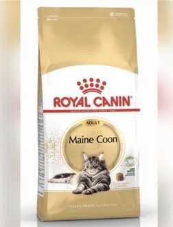 Royal Canin Maine Coon (4000грн готівкою або р/р)