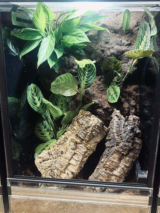 Terrarium 40x40x60 dla gadow nowe
