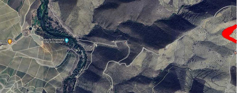 Terreno 15000m2 (1,5h)