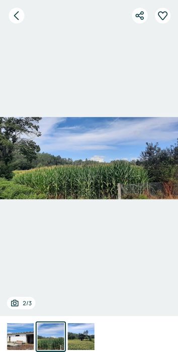 Terrenos de cultivo