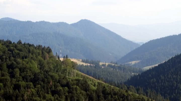 Відпочинок в Карпатах