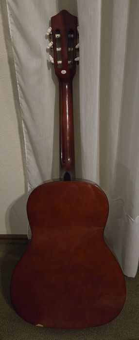 Viola com bolsa transporte