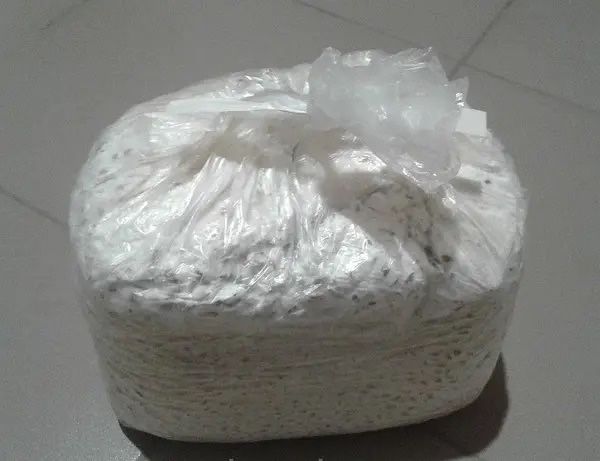 Продам Мицелий Грибов