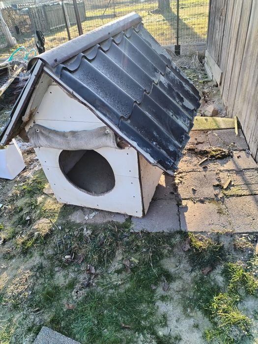 Buda dla dużego psa