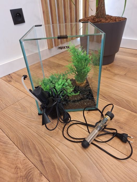 Krewetkarium 19 l