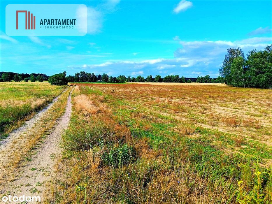 Zławieś Mała 1002m2 Cisza Spokój Super Lokalizacja