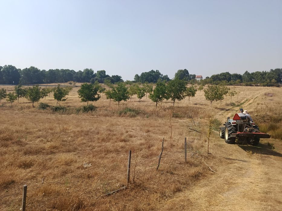 10 Hectares (100.000m2)  Terreno Agrícola Duas Igrejas Miranda do Douro, bem localizado, água e com maquinaria agrícola