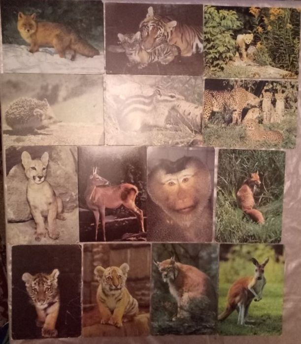 Листівки СРСР тварини, артисти та ін.