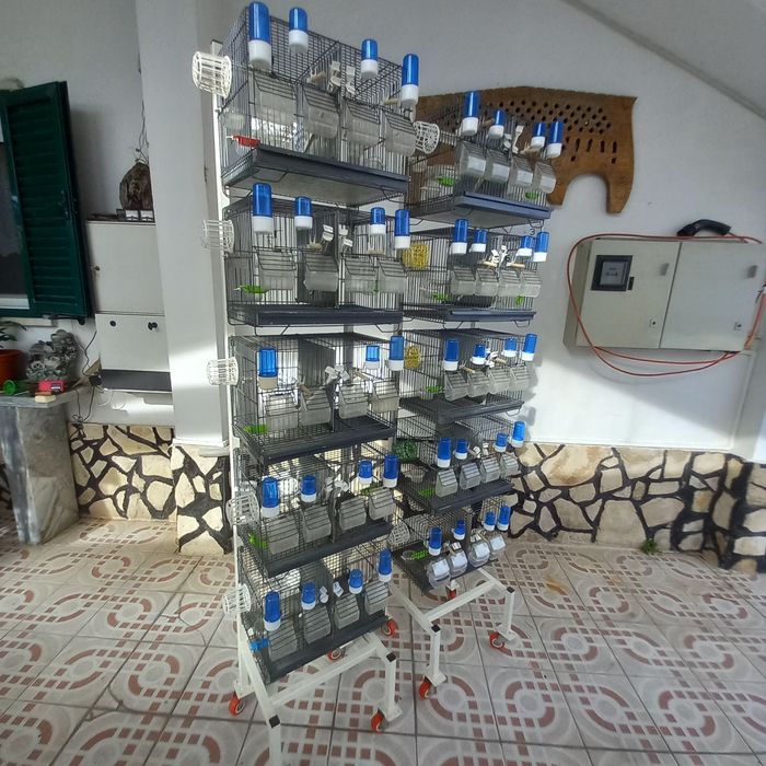 Gaiolas duplas de criação