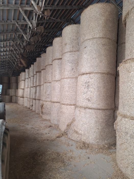 Sianokiszonka siano słoma kukurydza w belach szybka dostawa