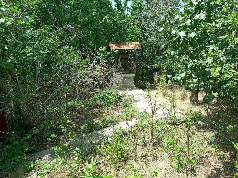 Продаю участок -дачу с. Барабои, кооператив "Альф"