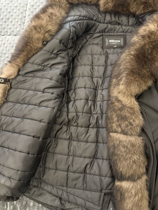 Парка песец зима