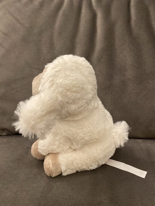 Pluszak owieczka