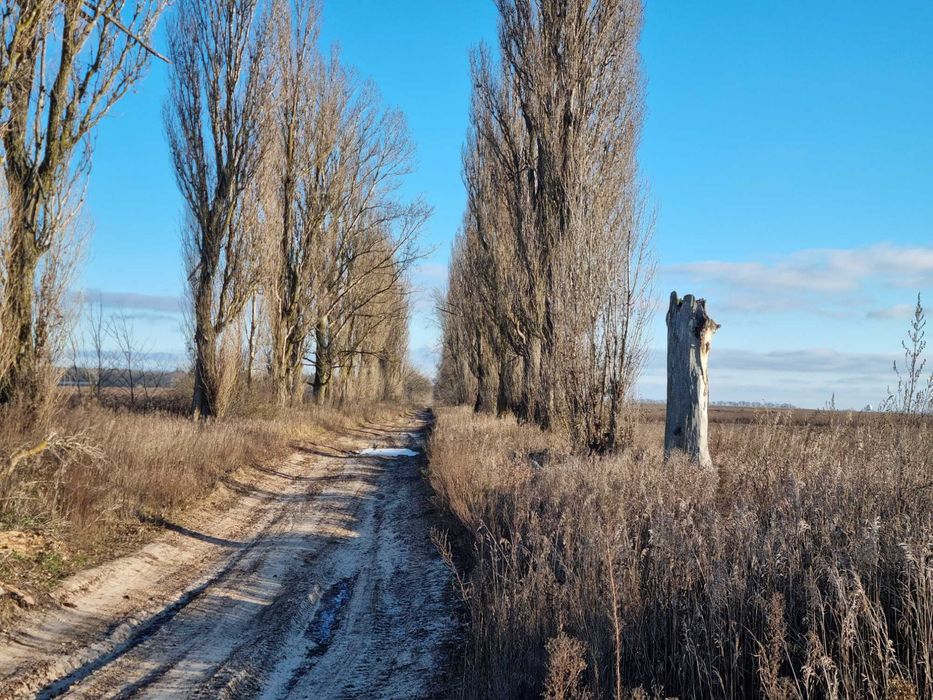 Щасливе Ділянка під житлову або комерційну забудову  58сот