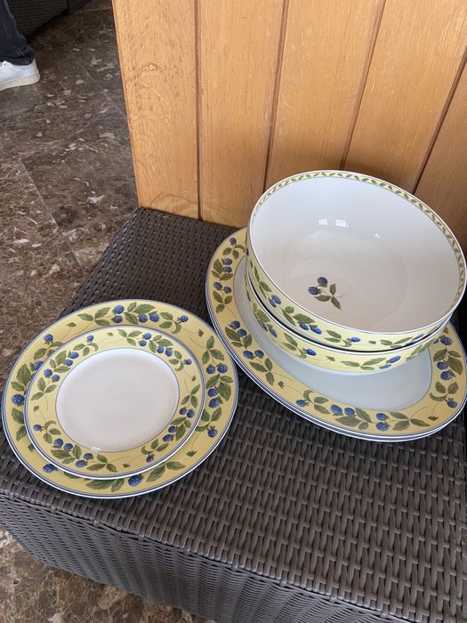 Serviço de jantar spal blackberries