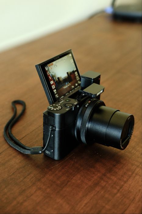 Sony RX100 V (Premium Point & Shoot)