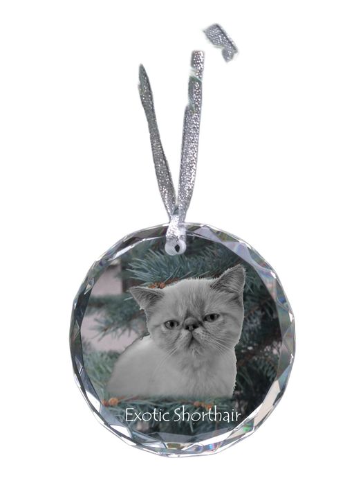 Egzotyczny krótkowłosy medal kryształowy z kotem Art-Dog