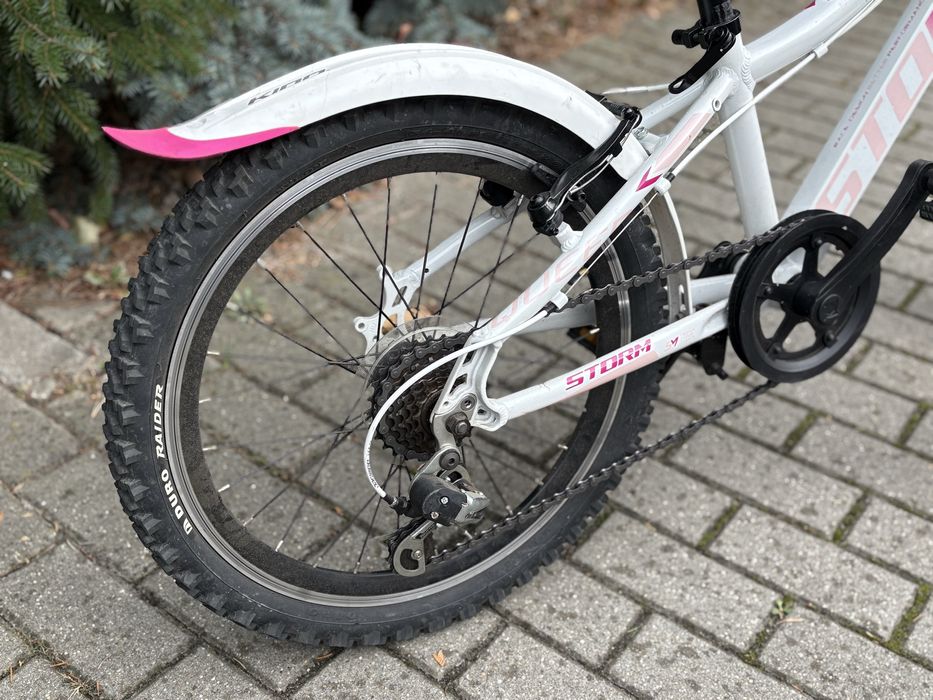 Rower Storm dziecięcy, rama 10 cali, koła 20