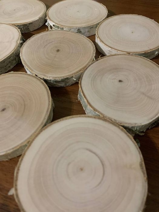 Спил дерева береза, зріз.