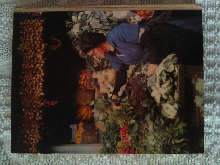 "A Vida de CRISTO do Nascimento à Ascensão" de Geoffrey Hodson