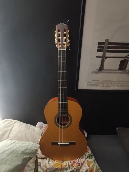 Gitara klasyczna/akustyczna Protégé by Cordoba