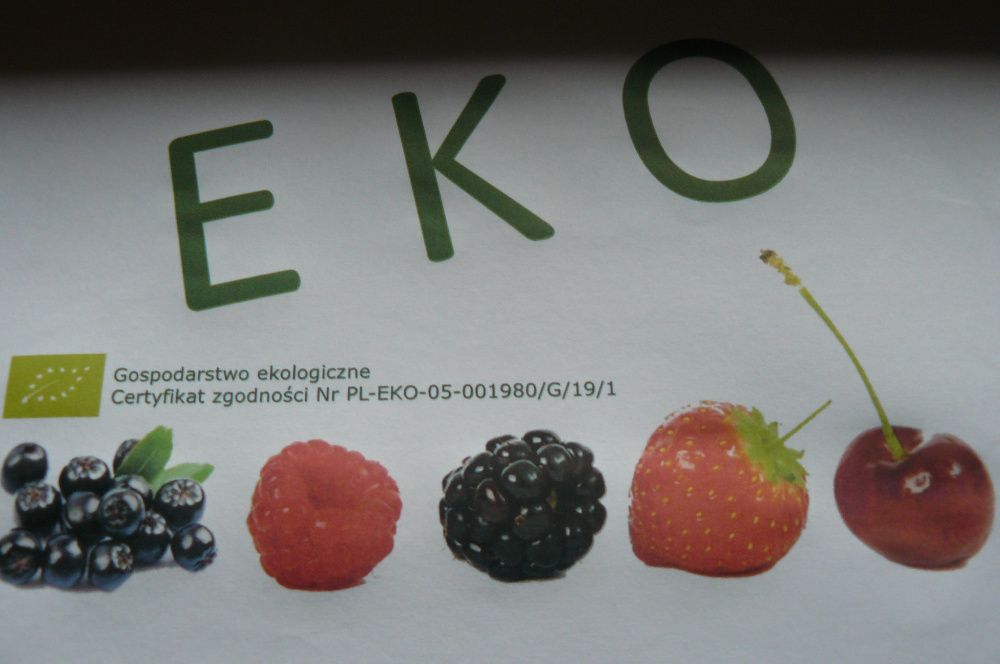 Jeżyna bezkolcowa .