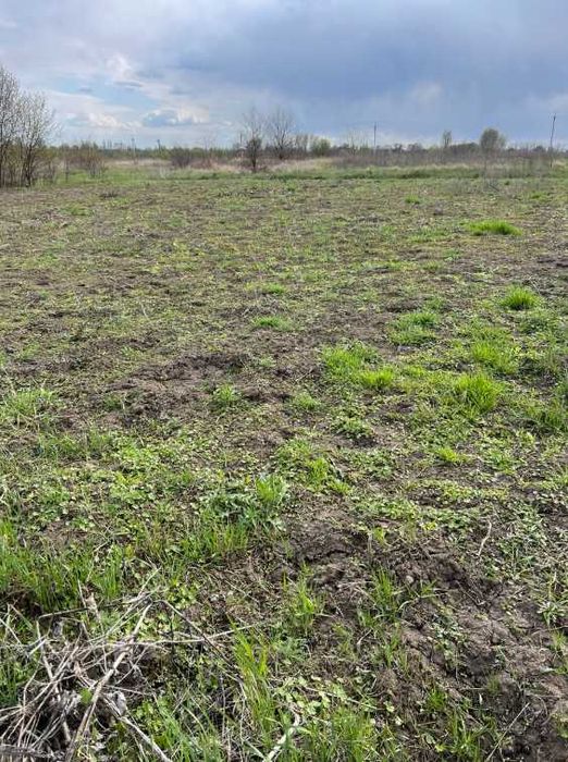 Пропоную до продажу земельну ділянку с. Ч. Слобода