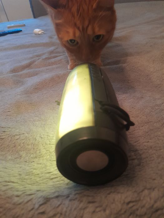 музыкальная колонка