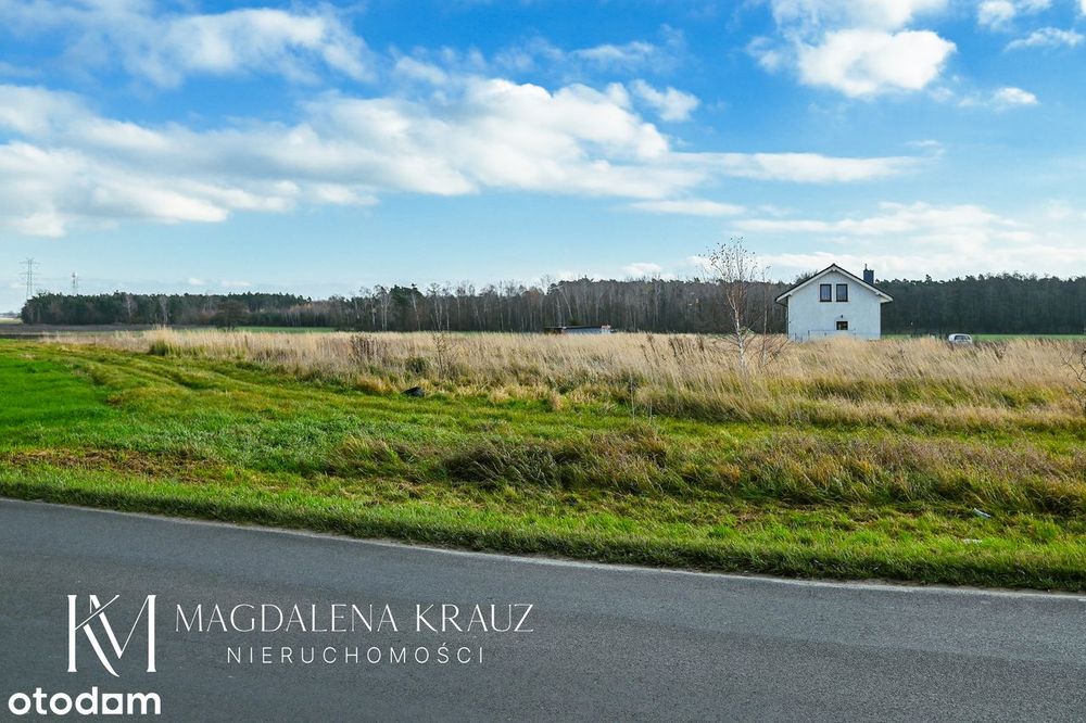 Okazyjne Działki W Przepięknej Okolicy W Pobliżu Lasu Dominowo - Widok 4