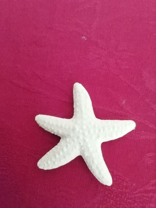 Íman Estrela do mar, novo