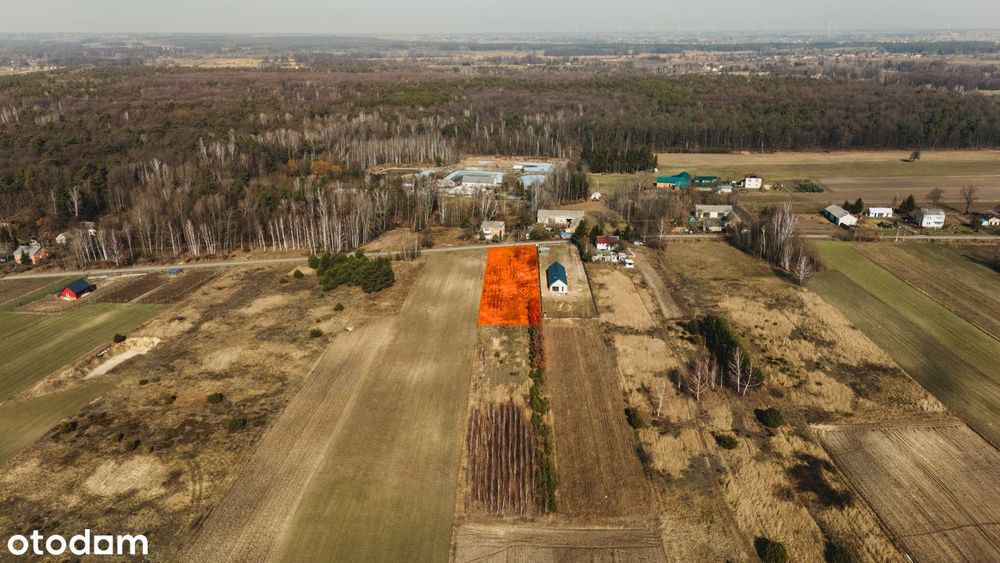 Olempin | 2000 m² pod dom | szybki dojazd do Lublina i Puław