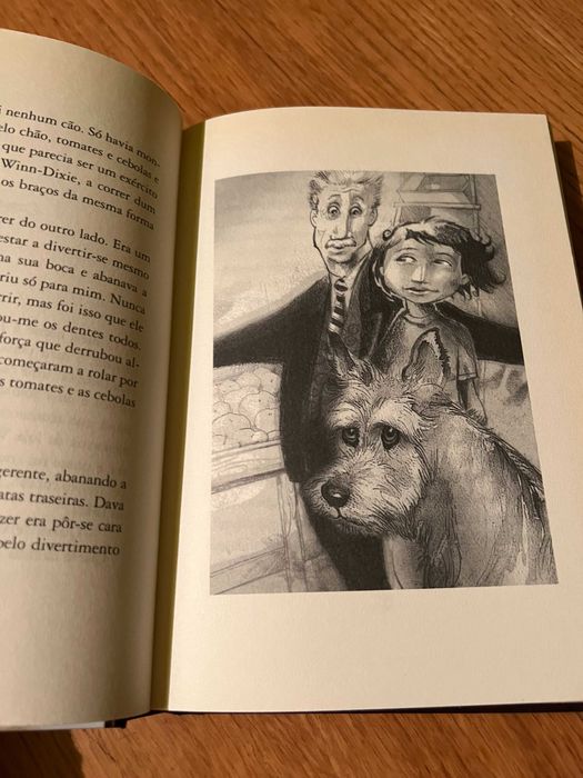 Por causa de Winn-Dixie      KATE DICAMILLO